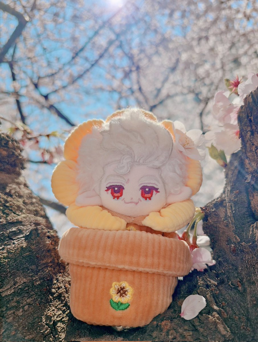 ✧부엉붱버✧ tweet media