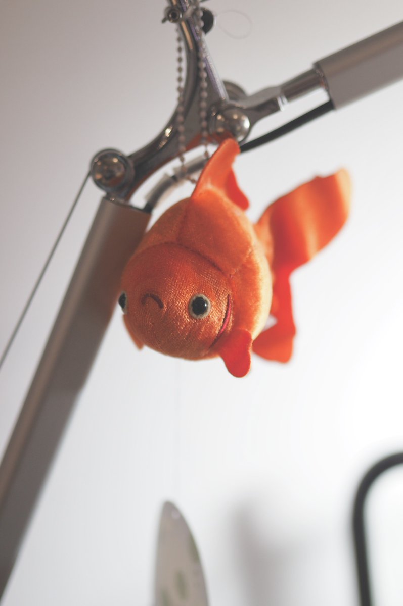 라야👻 tweet media