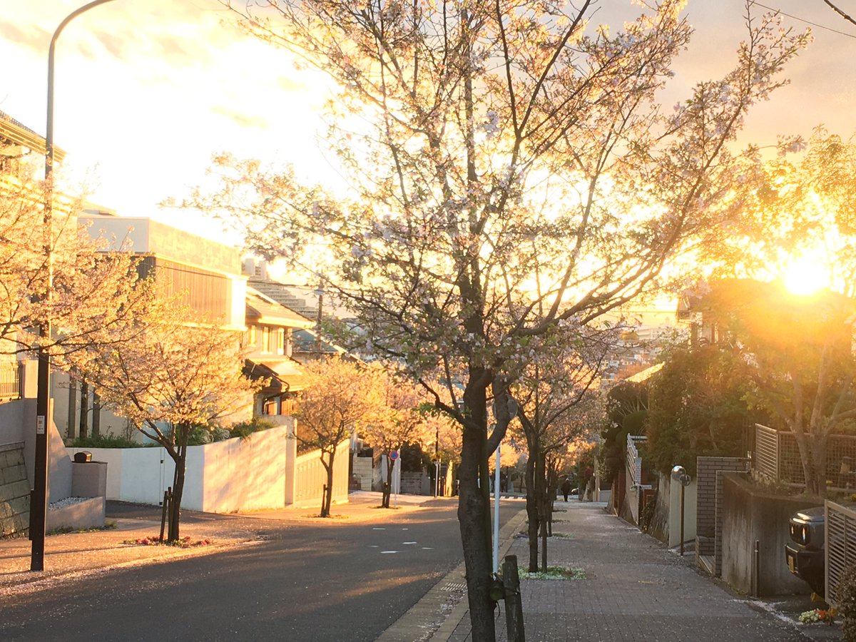 jun@everming.aizu tweet media