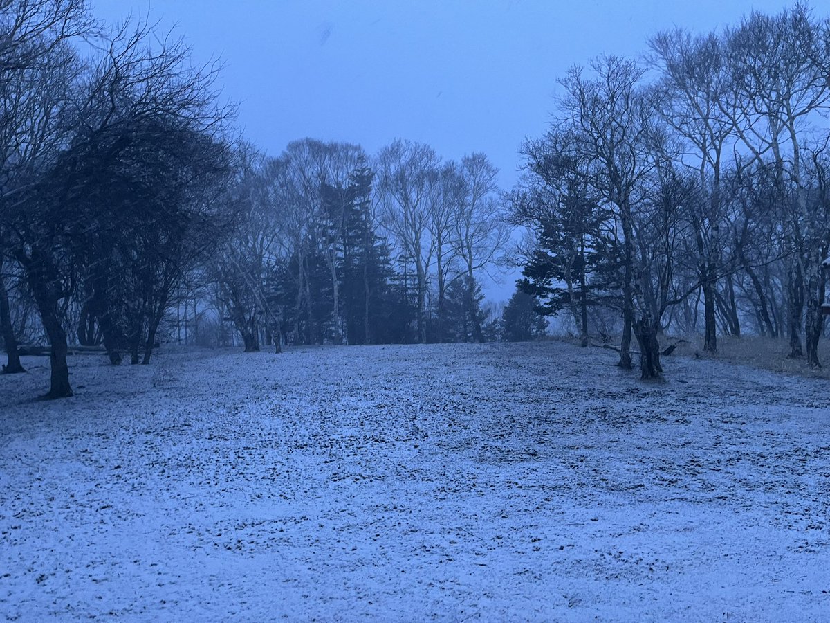 宿房 樺のん（霧多布） tweet media