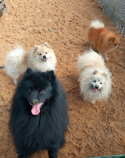 Czarna Lista Pro tweet media