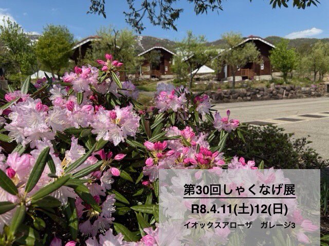IOX_WALD's tweet photo. 4月になりました〜🌸
ヴァルトの桜は、来週咲くかな〜？
来週土日は、しゃくなげ展です💐
西太美春のフォトコンテスト📷も募集中🌷🍀🌈
花ざかりヴァルトで写真撮ろう🤳✨
南砺デジタルプレミアム商品券も利用開始▶️
BBQ🍖に是非ご利用ください🙆‍♀️ https://t.co/kMaPQev9No