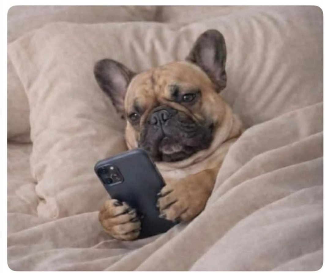 Patricia tweet media