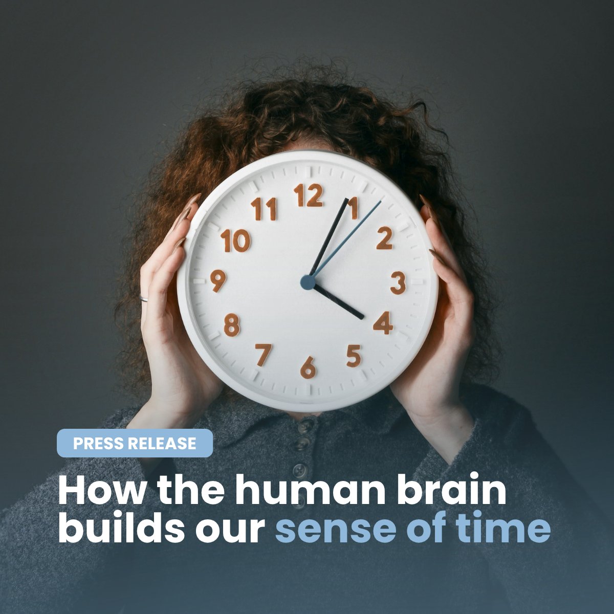 Sissaschool's tweet photo. ⏱️ How does the brain build our sense of time?
A new study by SISSA researchers, published in PLOS Biology, shows that time perception is not a single process, but the result of multiple stages across the brain.
➡️ https://t.co/hYHUVZFyE3 https://t.co/b6eMlgZP7C