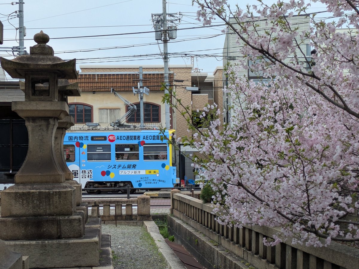 阪堺電車【公式】 tweet media