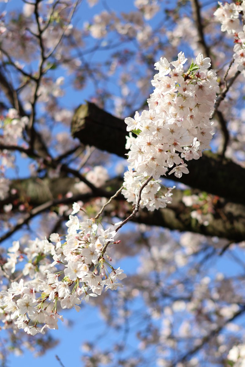 みっちぃ 【みつひろ・mitsu】 tweet media