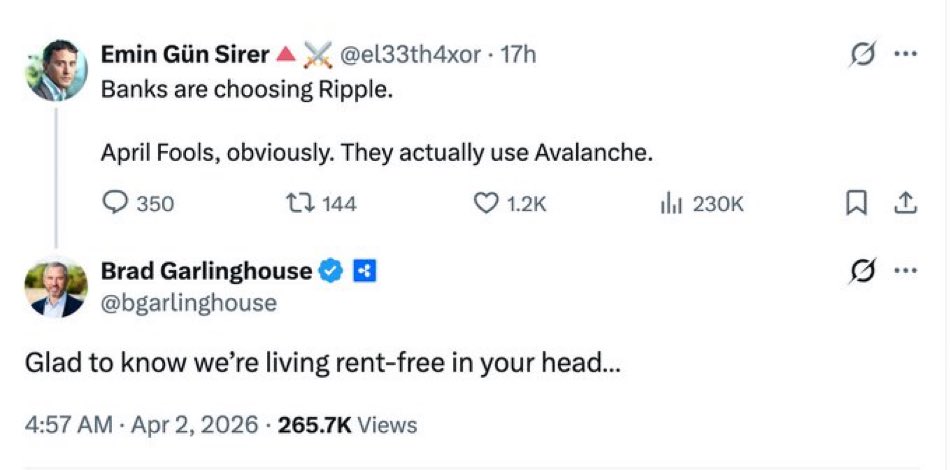 Jack XRParrow 🏴‍☠️ 🇵🇹 tweet media