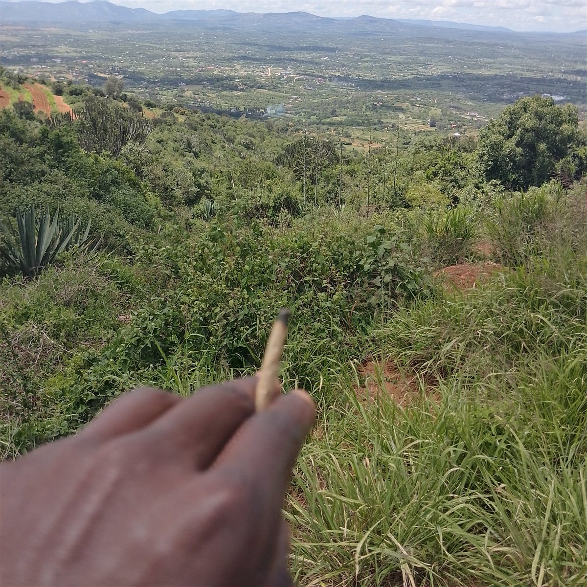 Kasee🗿 tweet media