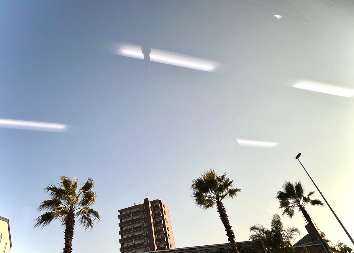 chikako🌲 tweet media