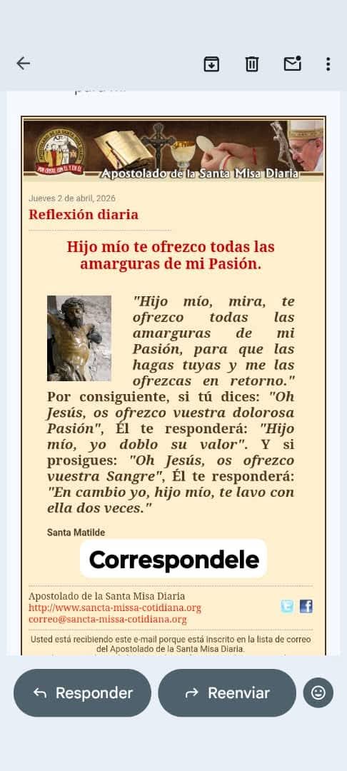 DIVINA VOLUNTAD tweet media