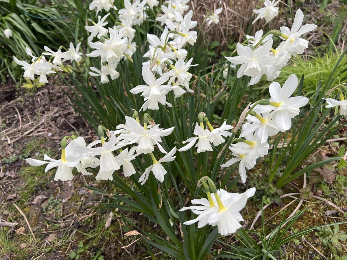 tennismadM tweet media