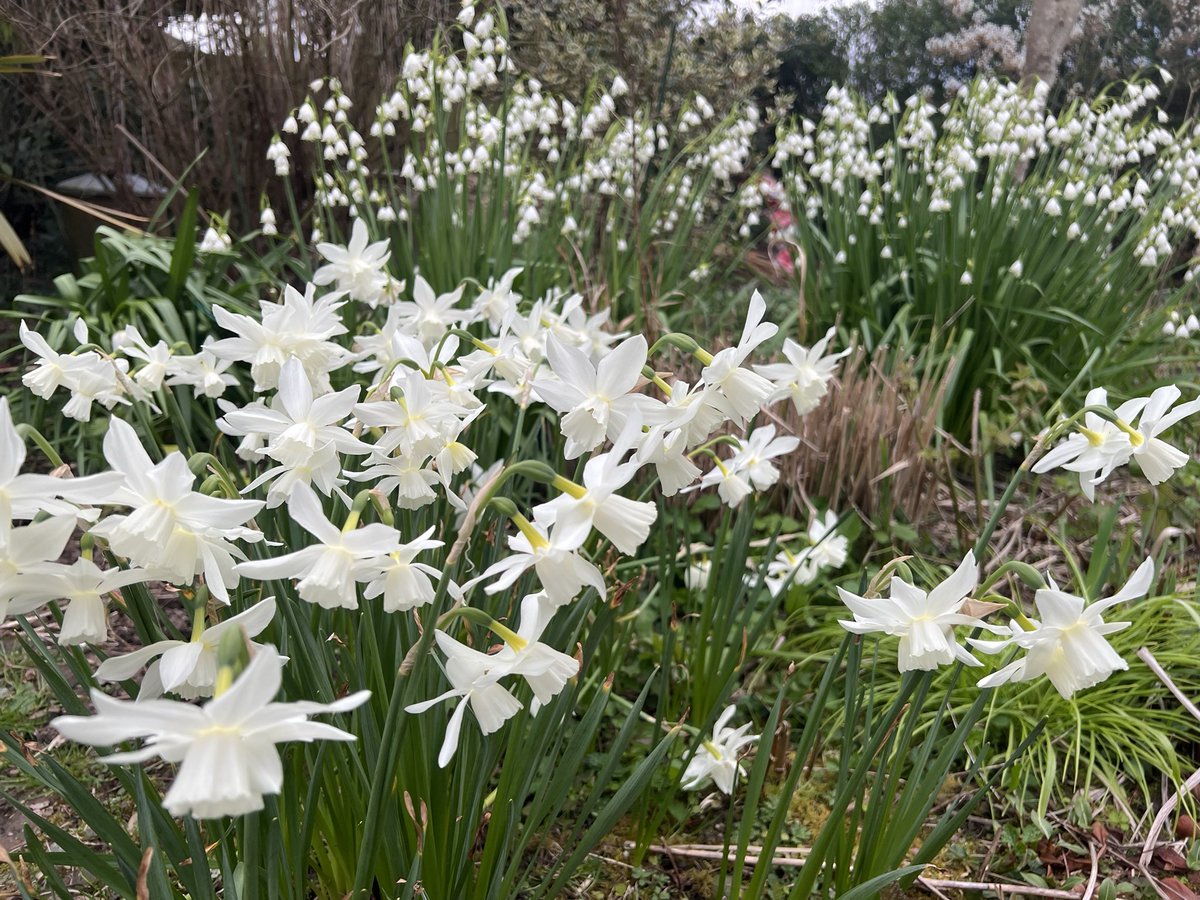 tennismadM tweet media