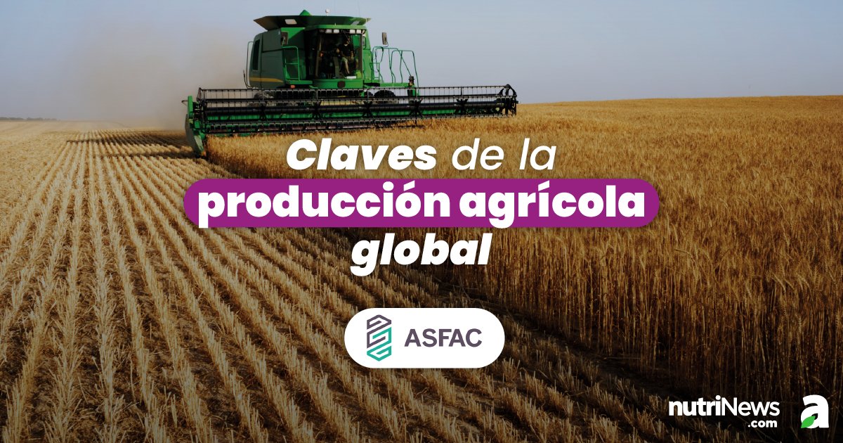 nutriNews_medio's tweet photo. 🌎 Producción agrícola 2026: nuevos datos y retos.

ASFAC analiza el escenario global de cosechas en su último informe, donde se confirma un incremento de la producción en algunas regiones.

Sin embargo, este crecimiento convive en un contexto marcado por diferentes incertidumbres como el clima, la evolución de la demanda o la estabilidad de los mercados.

👉 Accede al artículo completo: https://t.co/VZ5p4CB0y0

#cosechas #producciónagrícola #ASFAC