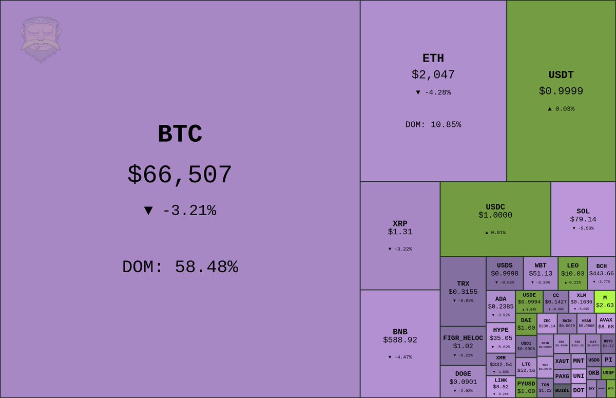 Shuarix™ tweet media