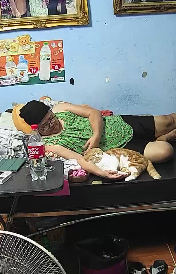 TeN-lee 🐈‍⬛💜 tweet media