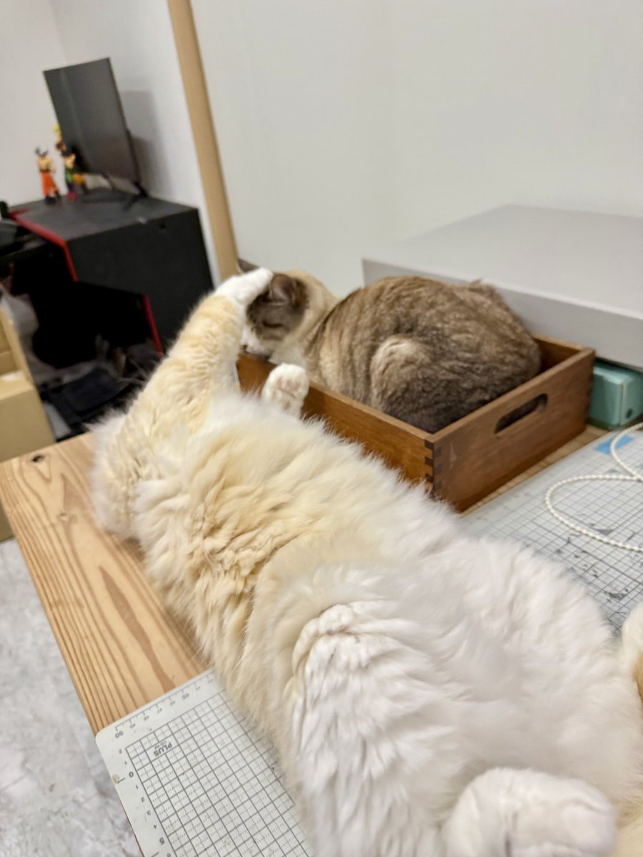 寝ているういちゃんに、チョンチョンとちょっかい出してる(笑) 寝ているういちゃんに、チョンチョンとちょっかい出してる(笑)