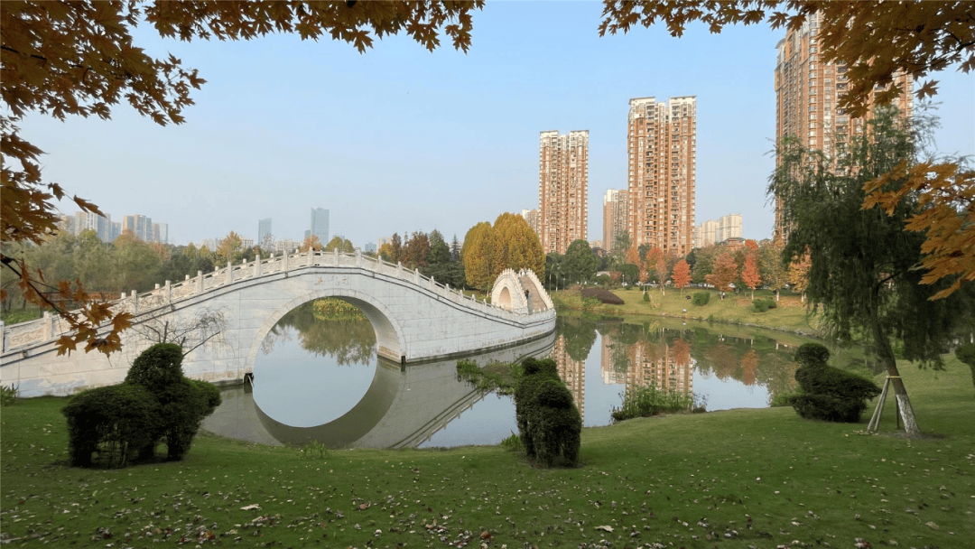 Surander Singh tweet media