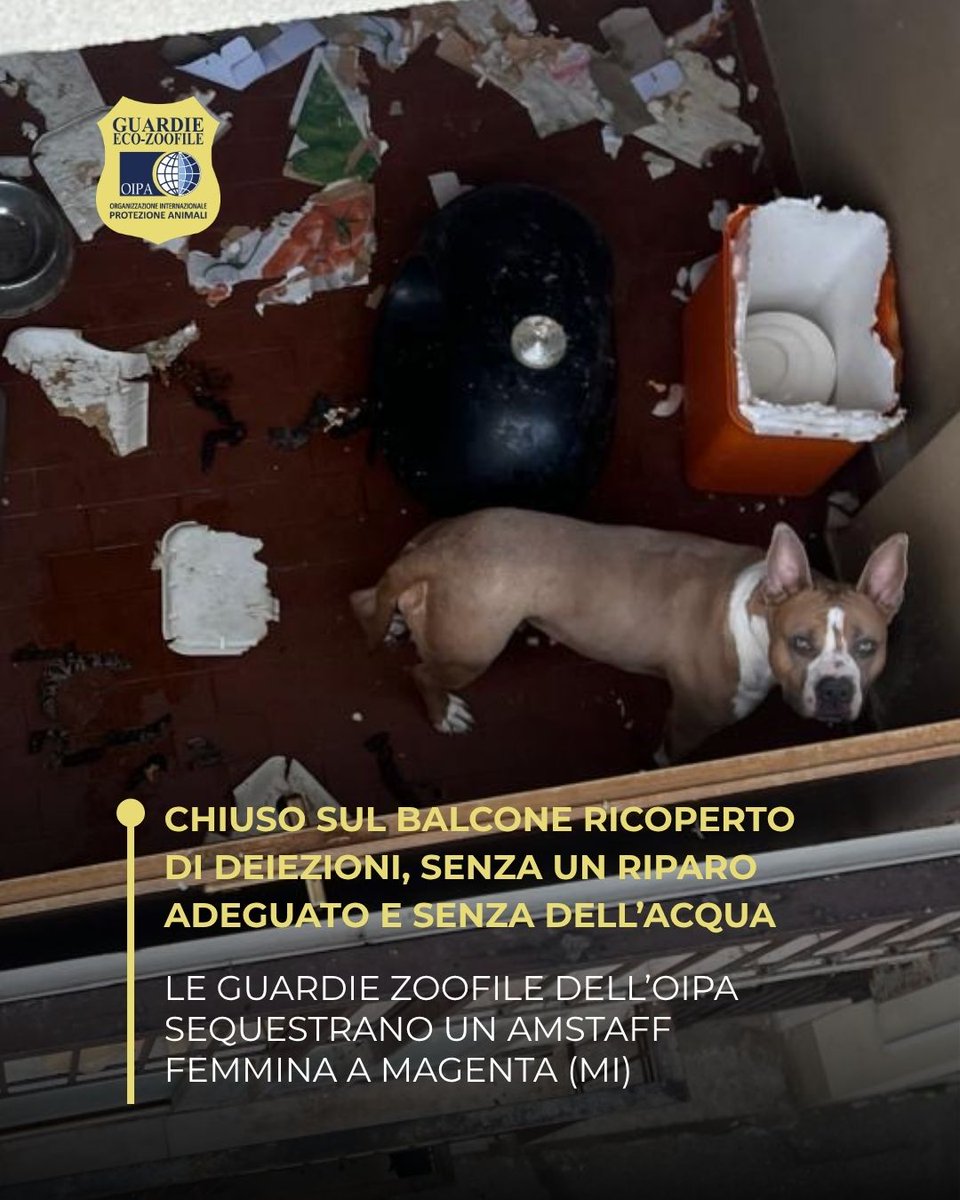 OIPA Italia tweet media