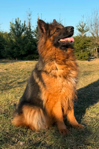 Czarna Lista Pro tweet media