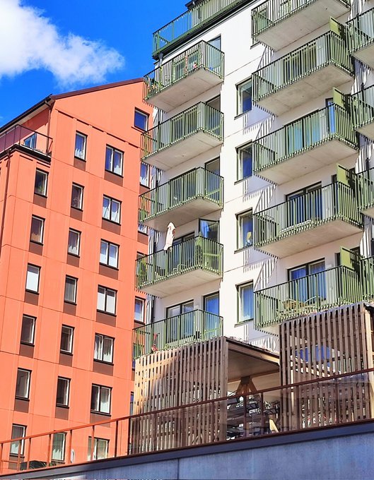 瑞典茉莉 tweet media