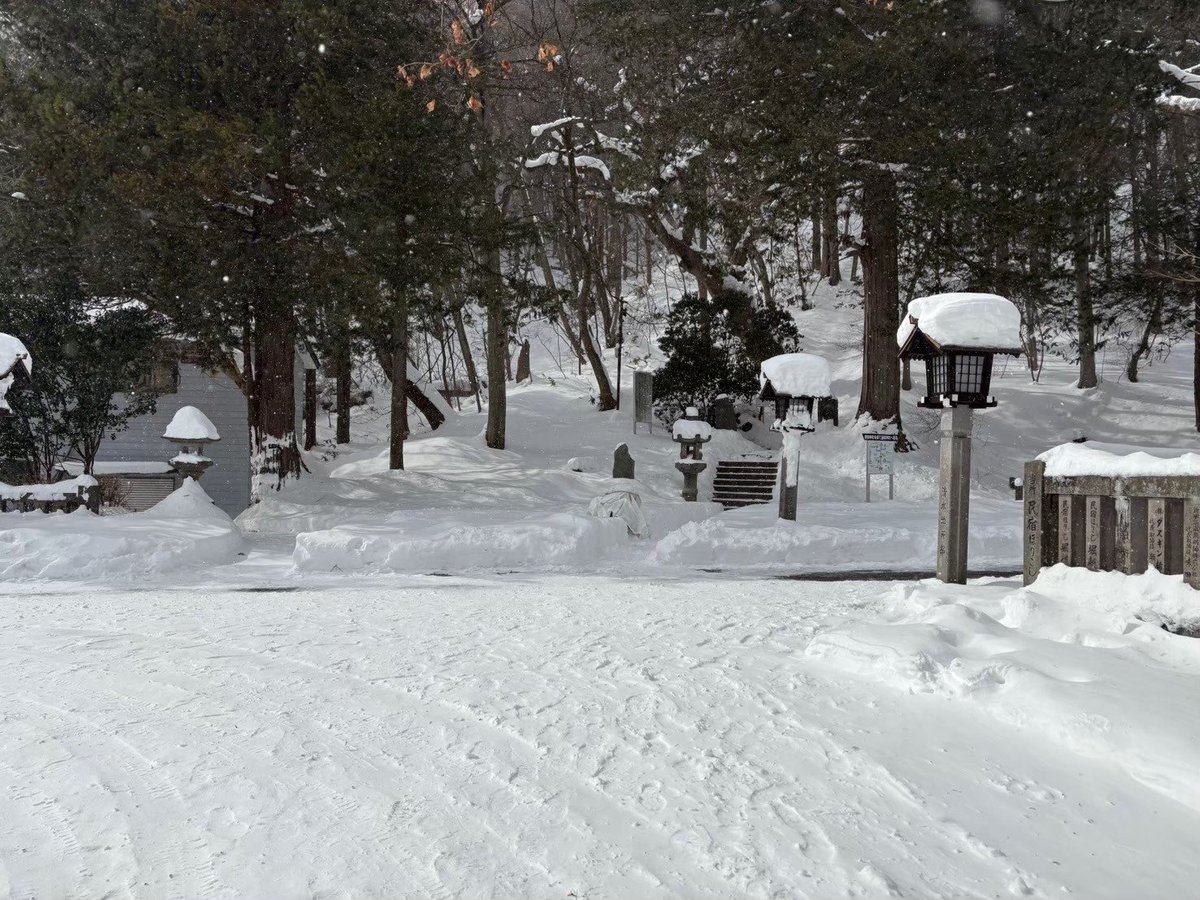 世界レイナ🌸 tweet media