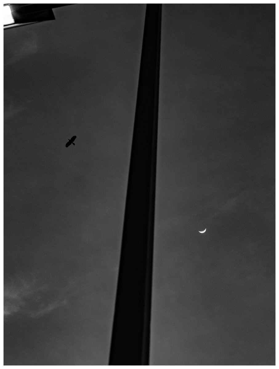 Ryosuke Nobutoki/kisk tweet media