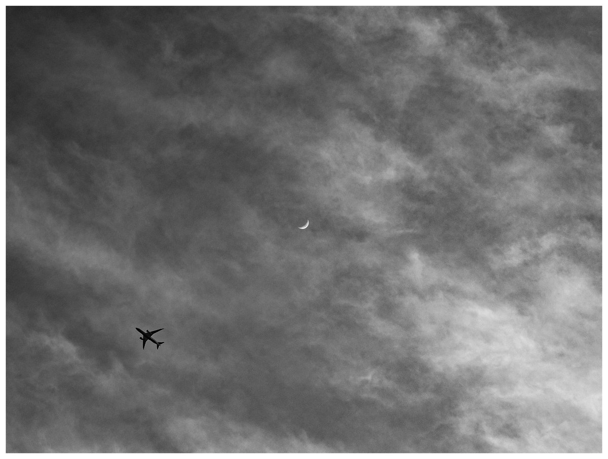 Ryosuke Nobutoki/kisk tweet media