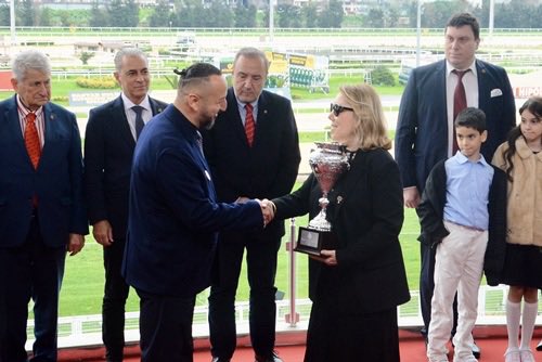 Aydın Stud tweet media