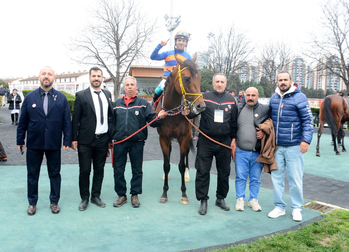 Aydın Stud tweet media