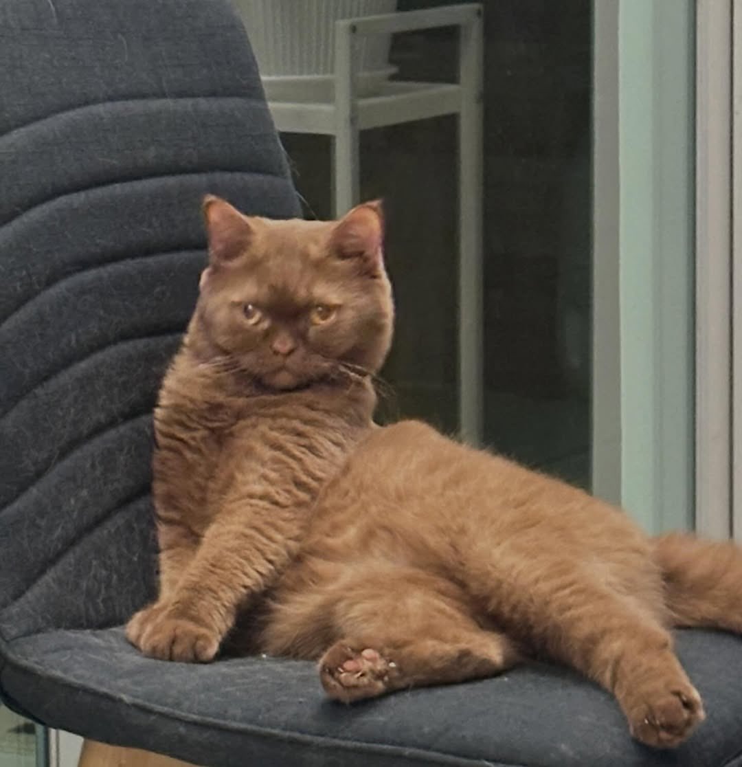 𝐀𝐤𝐢𝐫𝐚☀️🌙 tweet media