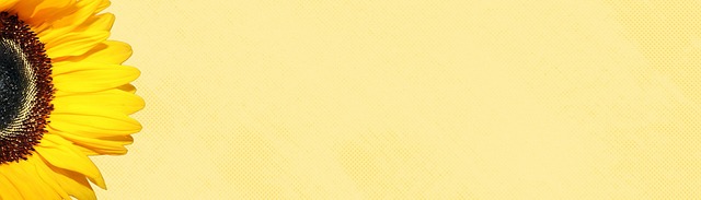 Ryan Arenas tweet media