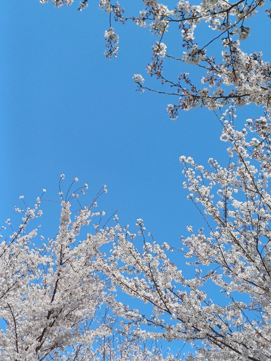 루다삐 tweet media