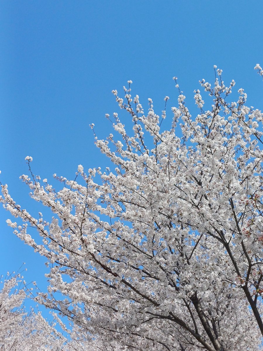 루다삐 tweet media