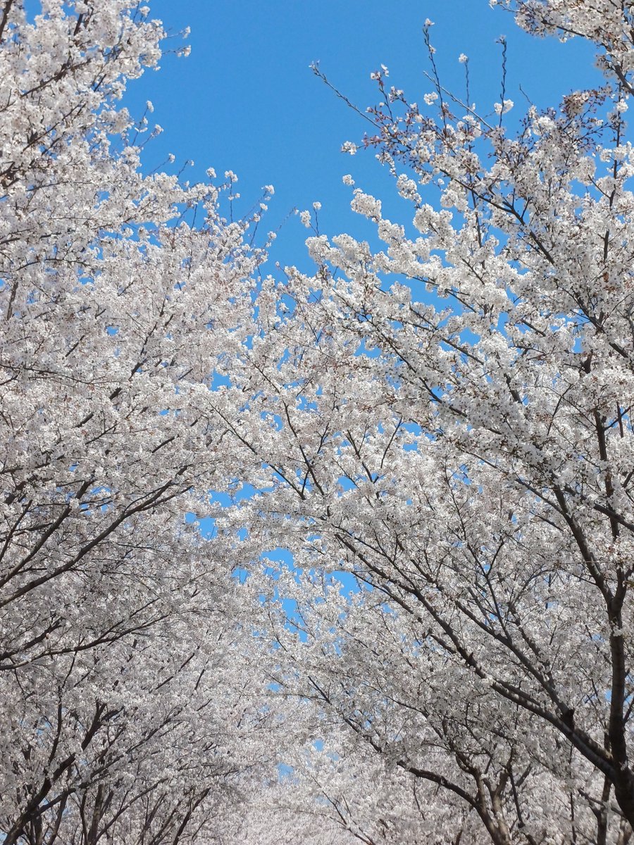 루다삐 tweet media