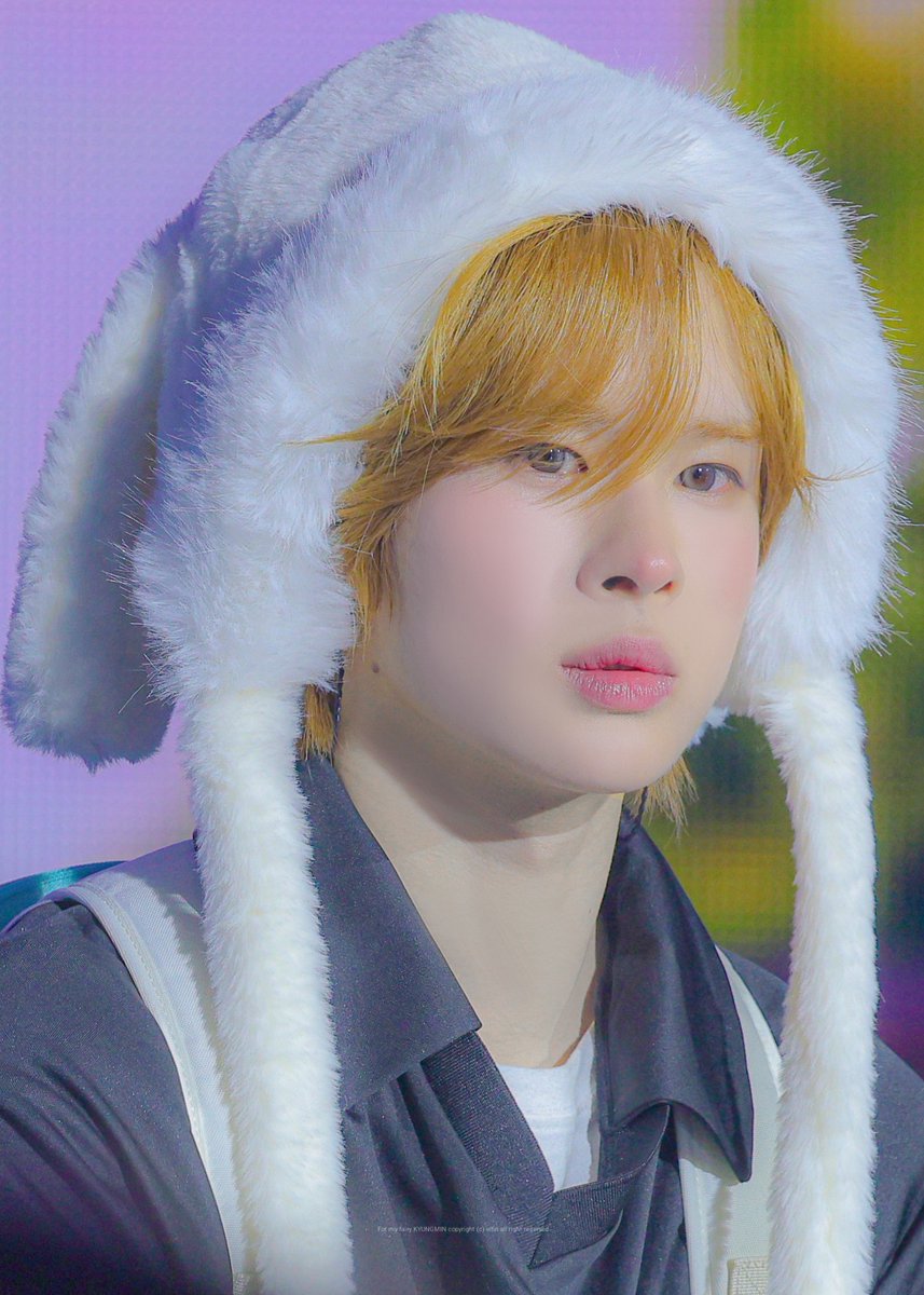 𝑬𝒍𝒇𝒊𝒏 tweet media