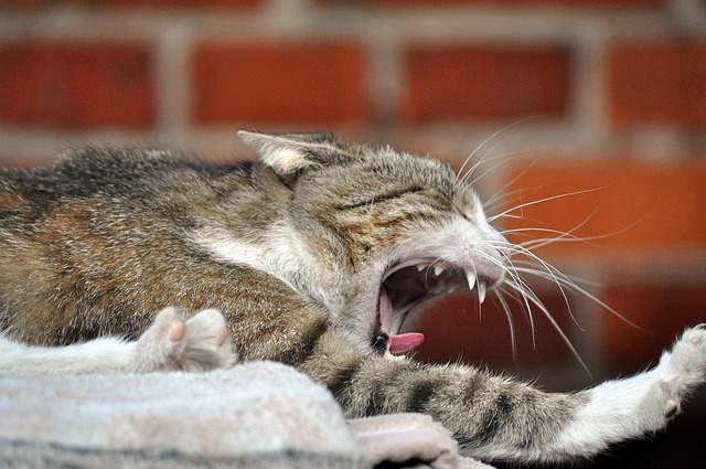 Gary Hampton tweet media