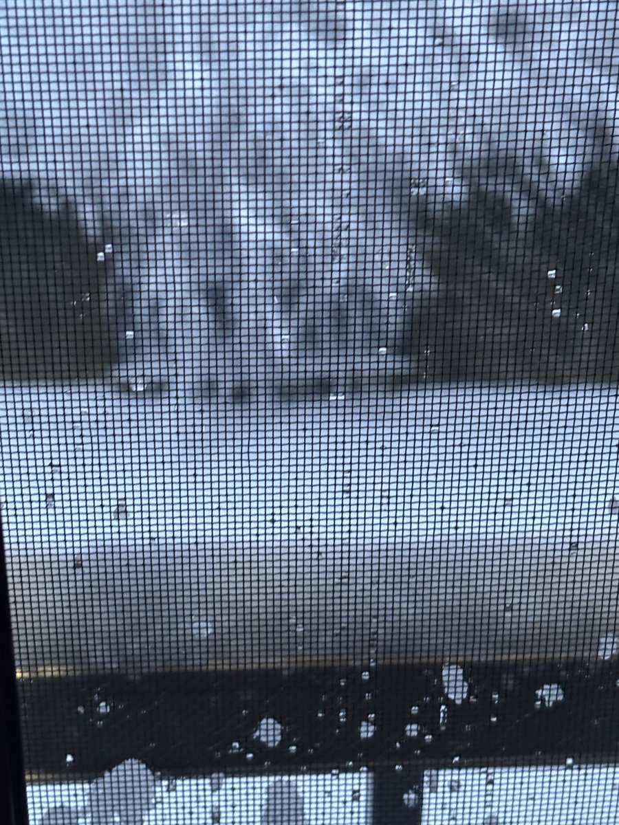 水銀　カピバラ tweet media