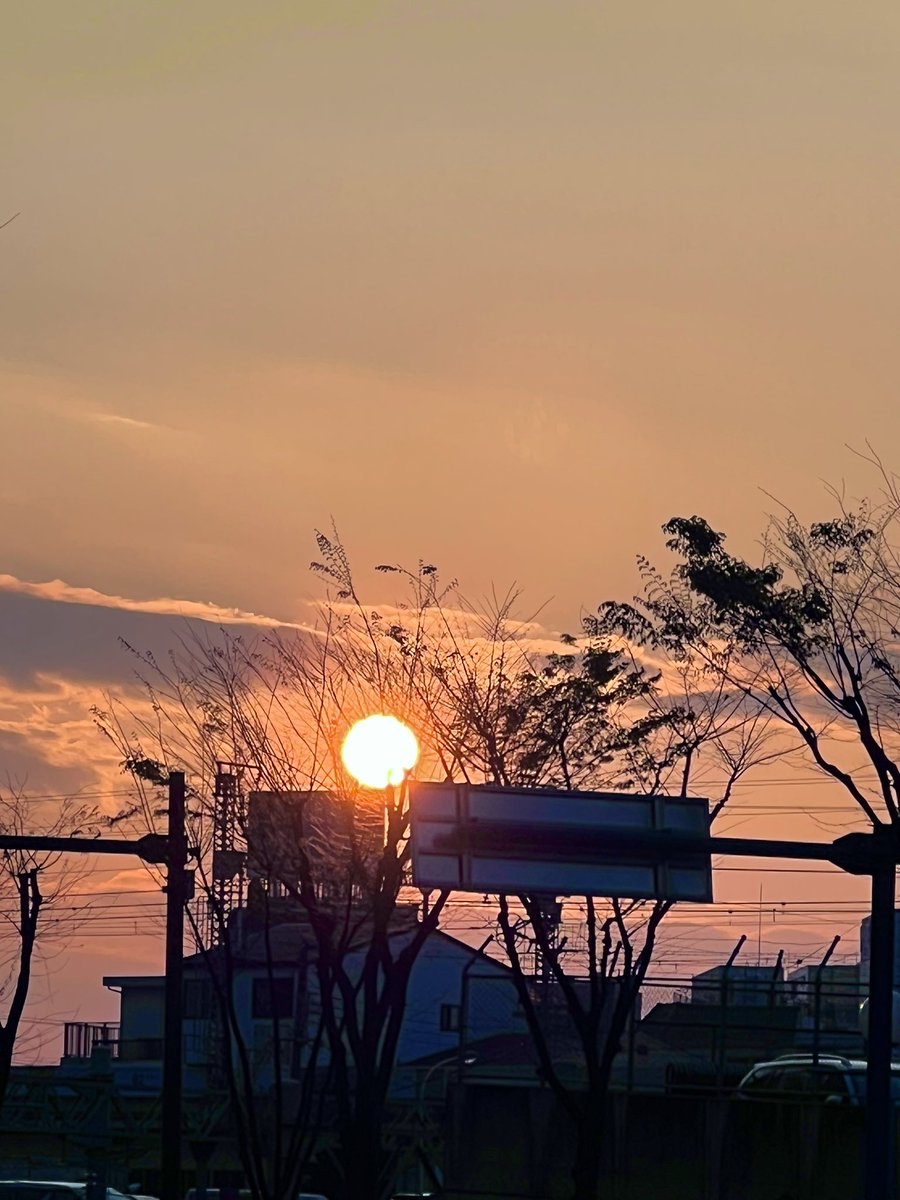 🐰ྀི🌻 ໒꒱·ﾟさきっ 𝒸𝒽ℴ ໒꒱·ﾟ 🌻🐰ྀི tweet media