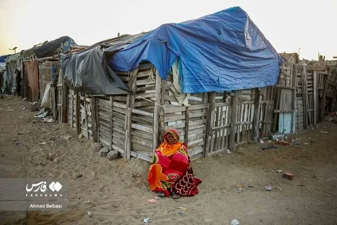 🇮🇷صیاد tweet media