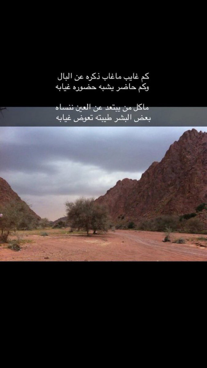 (شمالي) tweet media