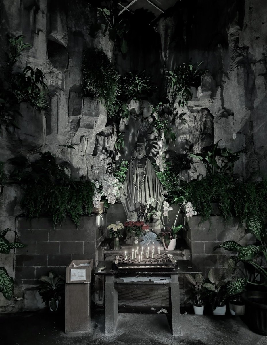 SEBASTIAN BUMI A. tweet media