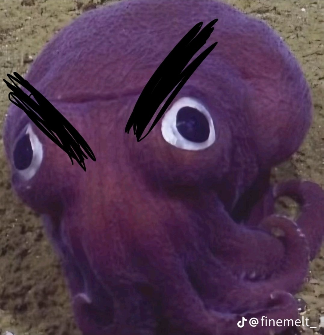 Don Largo Zancudo de La Mancha tweet media