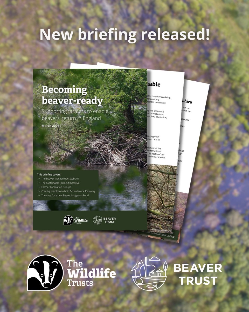 Beaver Trust tweet media