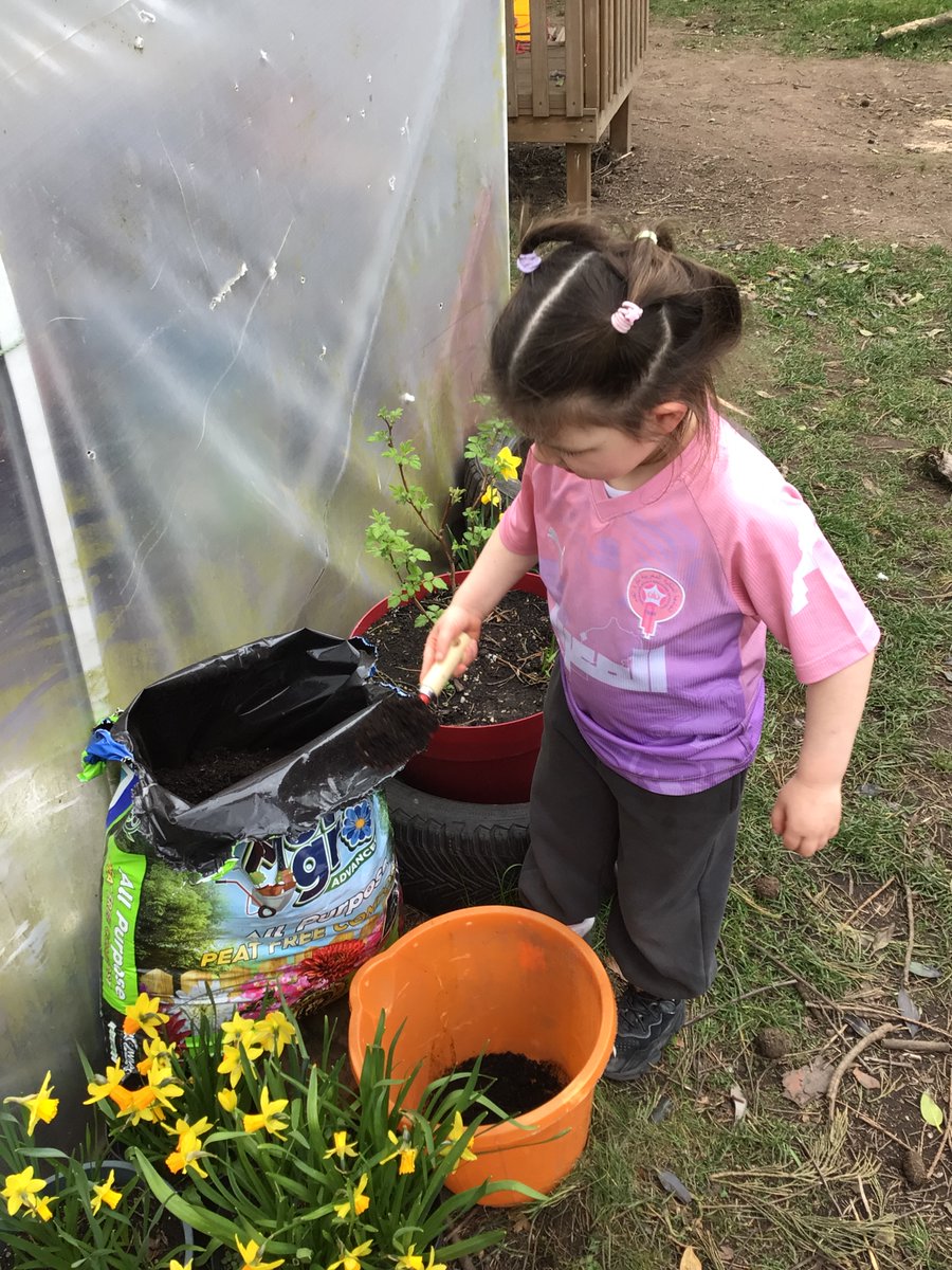 InchturePrimary's tweet image. Nursery children have been learning about how to grow potatoes with a focus on numeracy. #TeamInchture #curiosity
step 1: chit the potatoes
step 2: measure the size of the sprout
step 3: weigh the potatoes 
step 4: plant 2 lots of potatoes in order to make comparisons #Article31