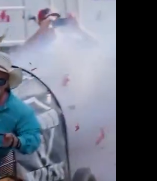 フモト tweet media