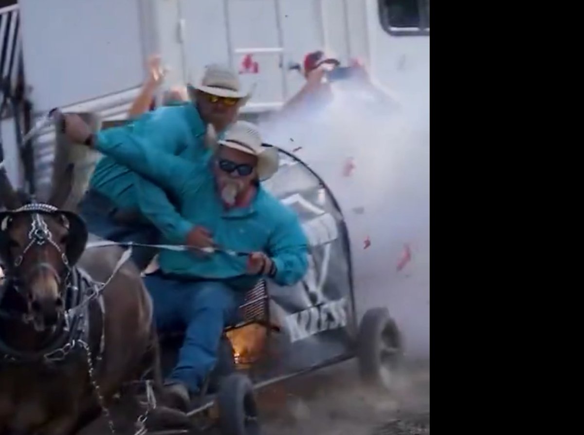 フモト tweet media