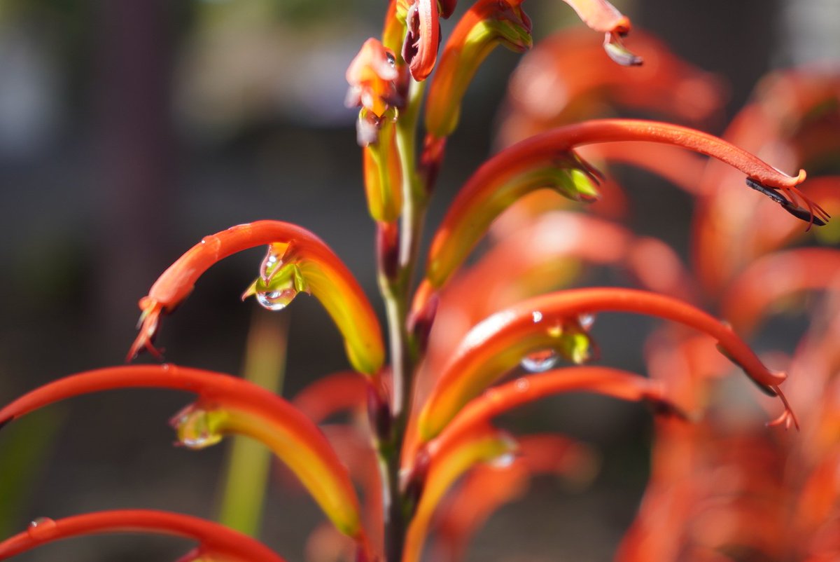 💜幸❤️💚 tweet media