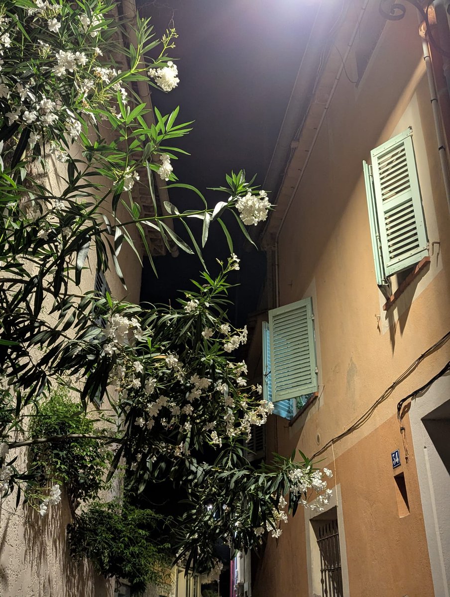 LeCannetVille's tweet image. Bonsoir Le Cannet 🤗

#LeCannet #CotedAzurFrance #MagnifiqueFrance #jaimemaville