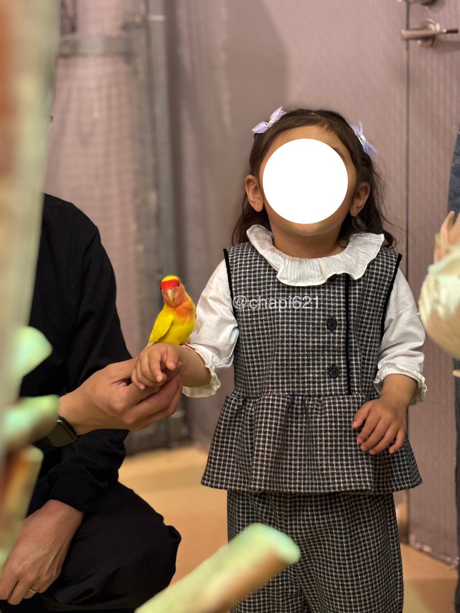 ちゃぴ ☺︎ tweet media