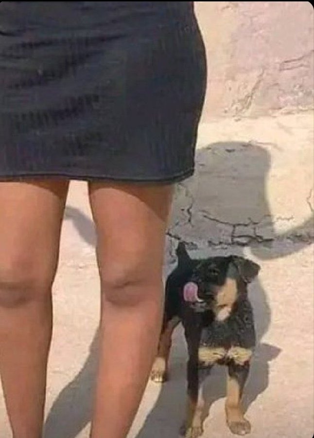 UnDreadedRasta💀😉 tweet media